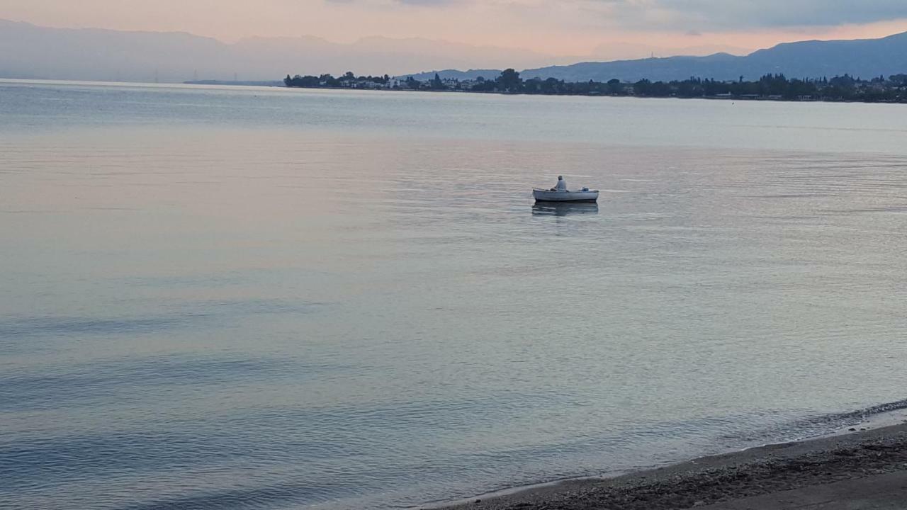 فيلا Patras Luxury Seaside House المظهر الخارجي الصورة