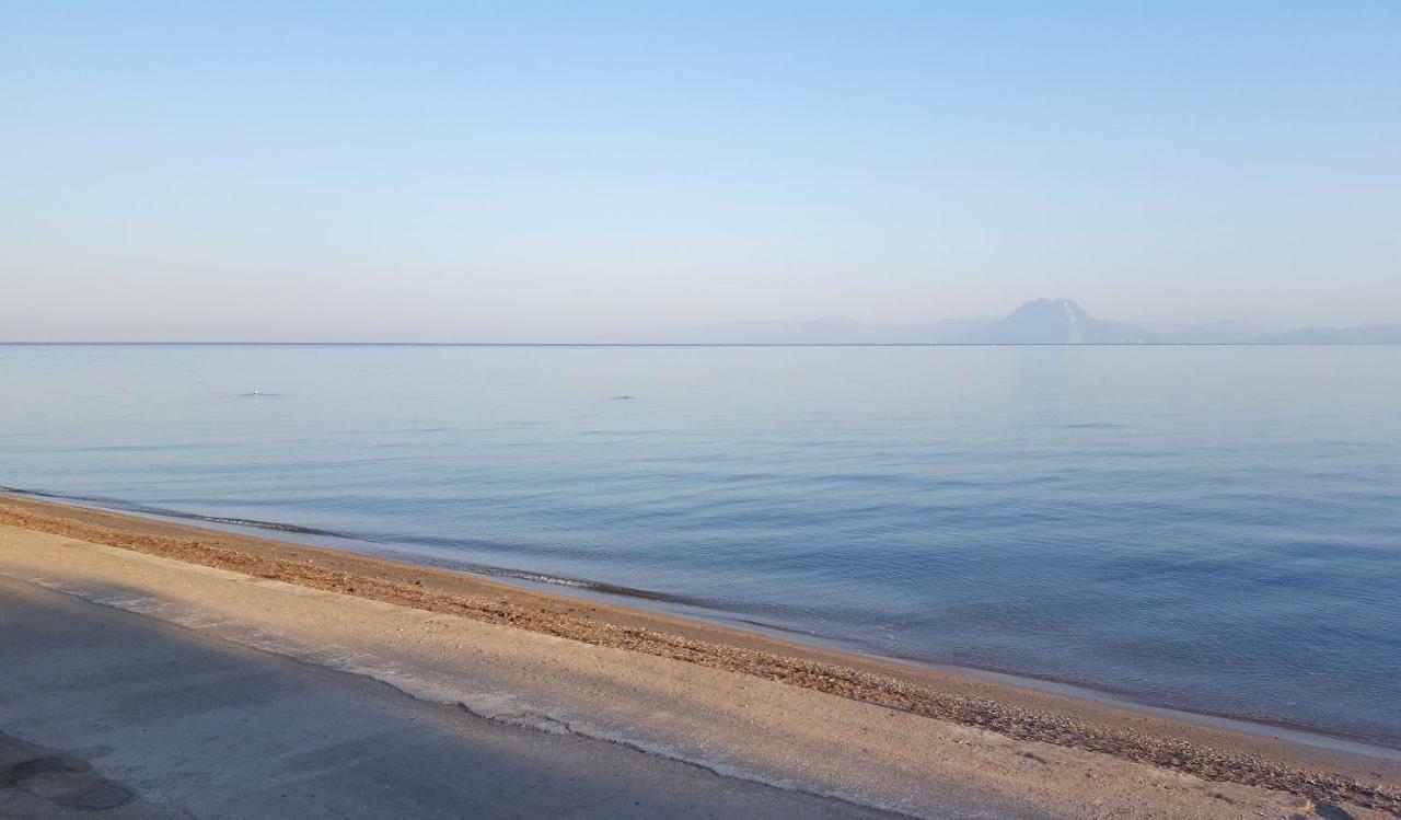 فيلا Patras Luxury Seaside House المظهر الخارجي الصورة